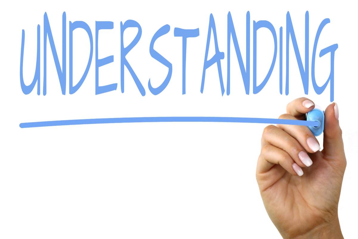 Understanding Consumer Behavior in the Decoration Shopping Market Unveiled
