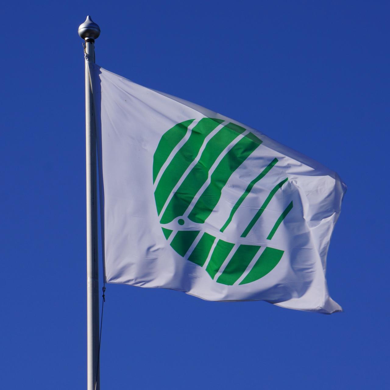 Sustainable Insurance Solutions for the Modern Consumer